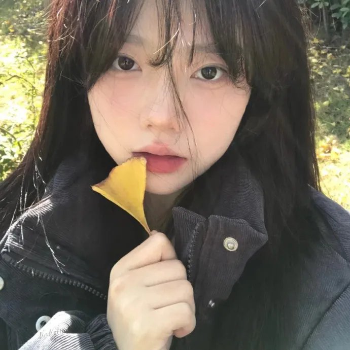 小鲤鱼历险记